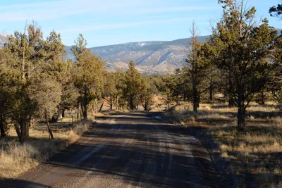 DSC_3033 (Large).JPG